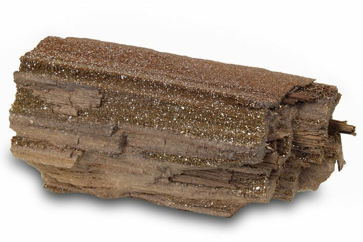 Permineralized Wood Covered In Sparkling Quartz -, Germany #263956